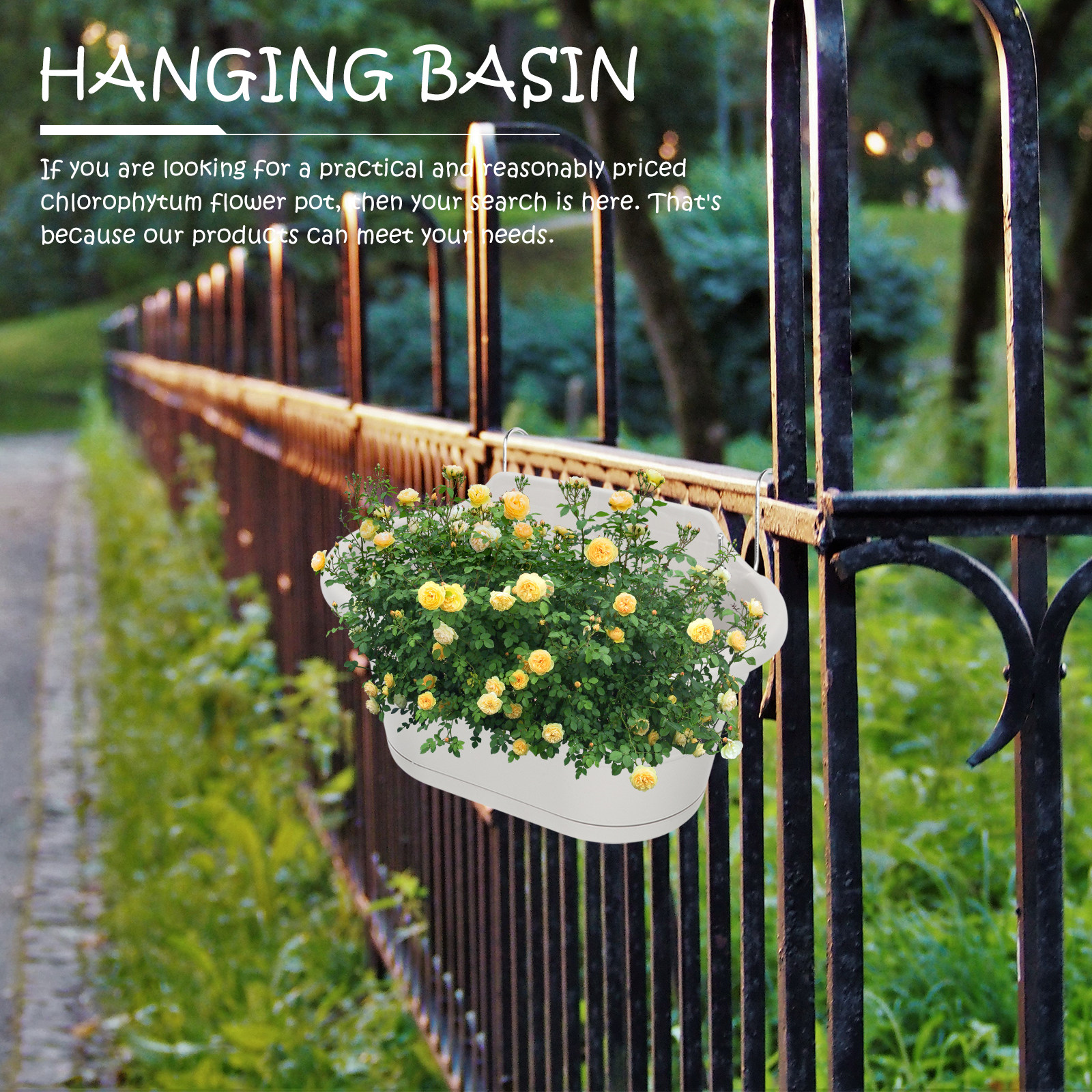 Spider Plant Hanging - 1Set Wall Hanging Flower Pot Set