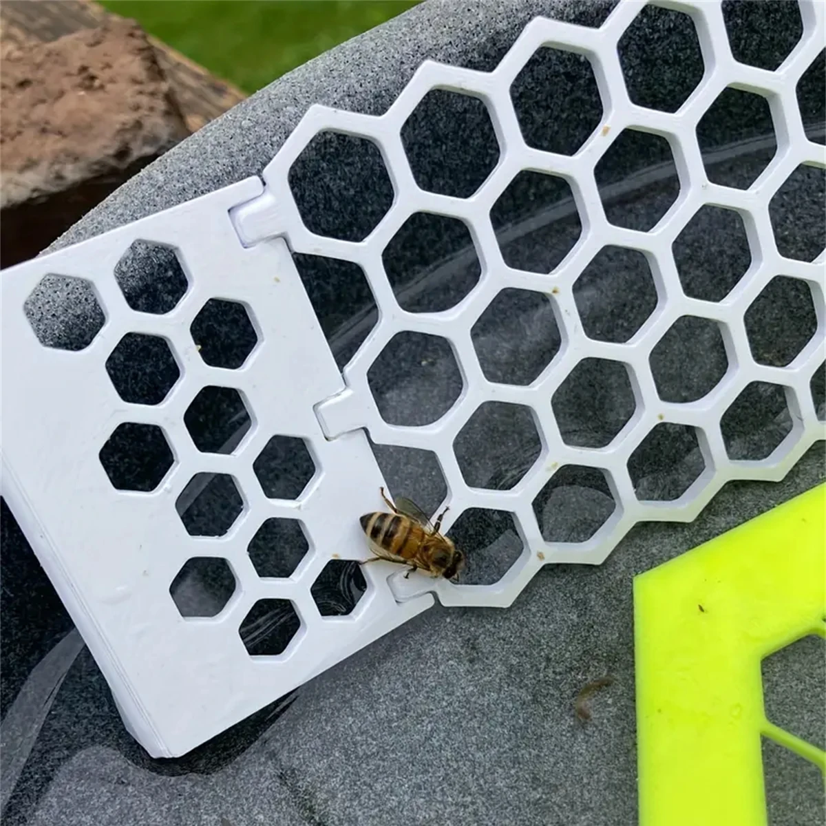 1pc Floating Bee Ladders Folda - Begonia Rex review and price