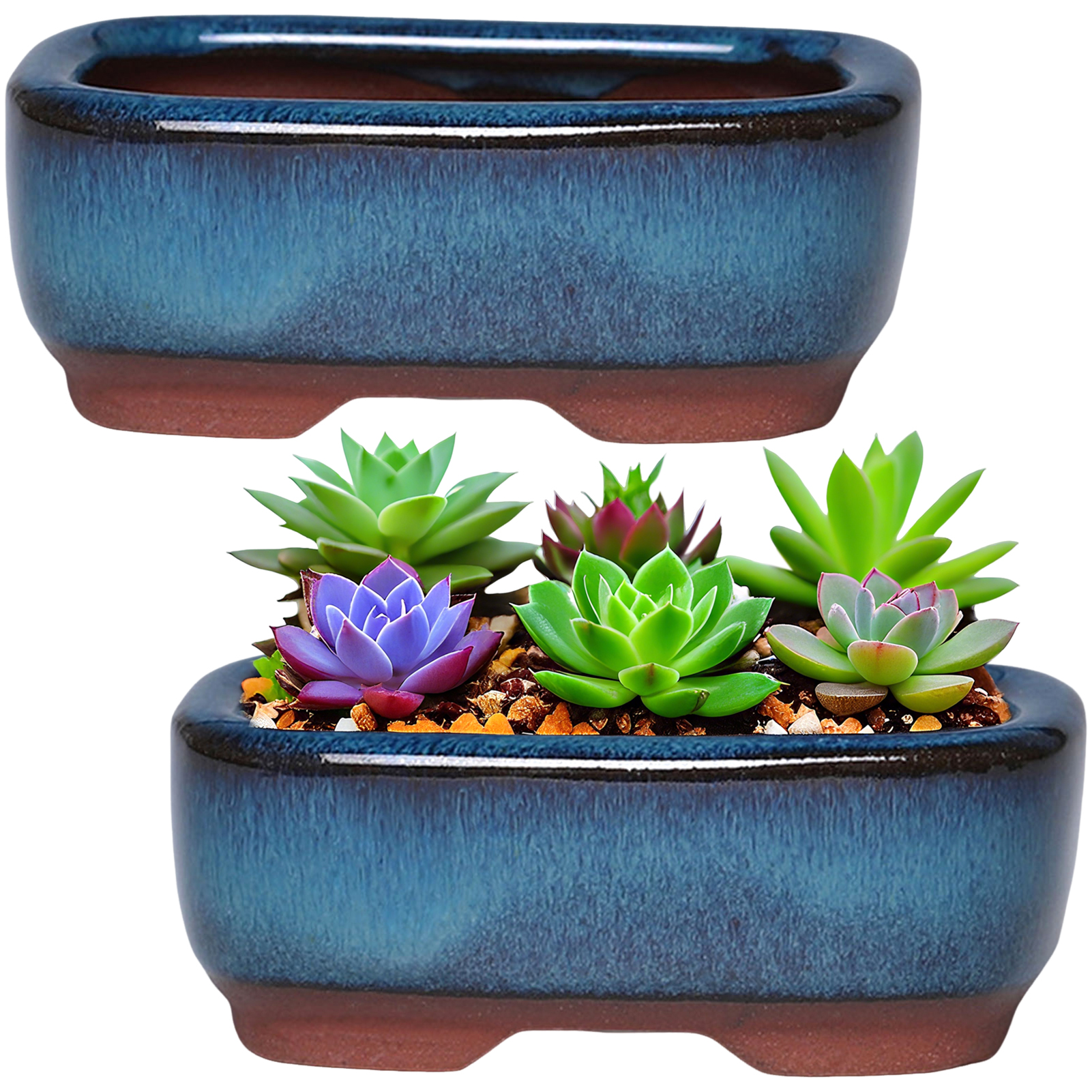 Ceramic Flowerpot Creative Suc - Pilea Peperomioides review and price