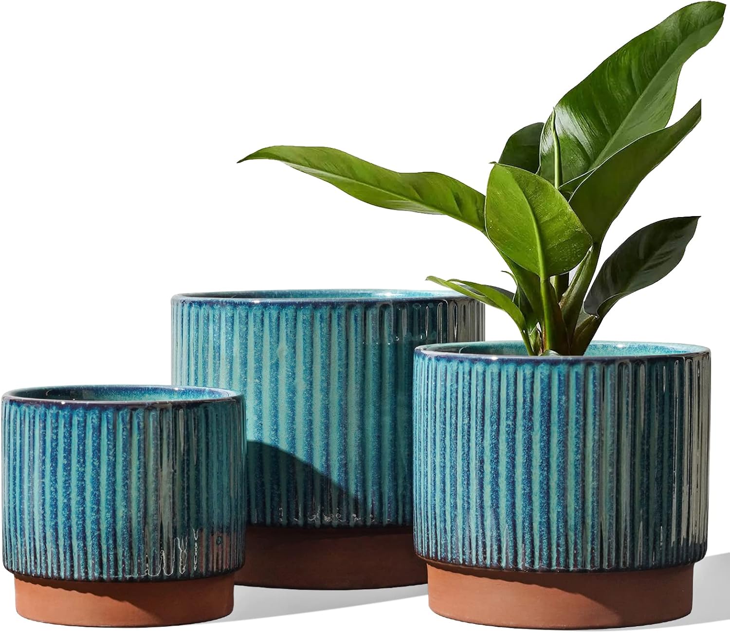 Set of 3 Ceramic Plant Pots wi - Aloe Vera Pot review and price