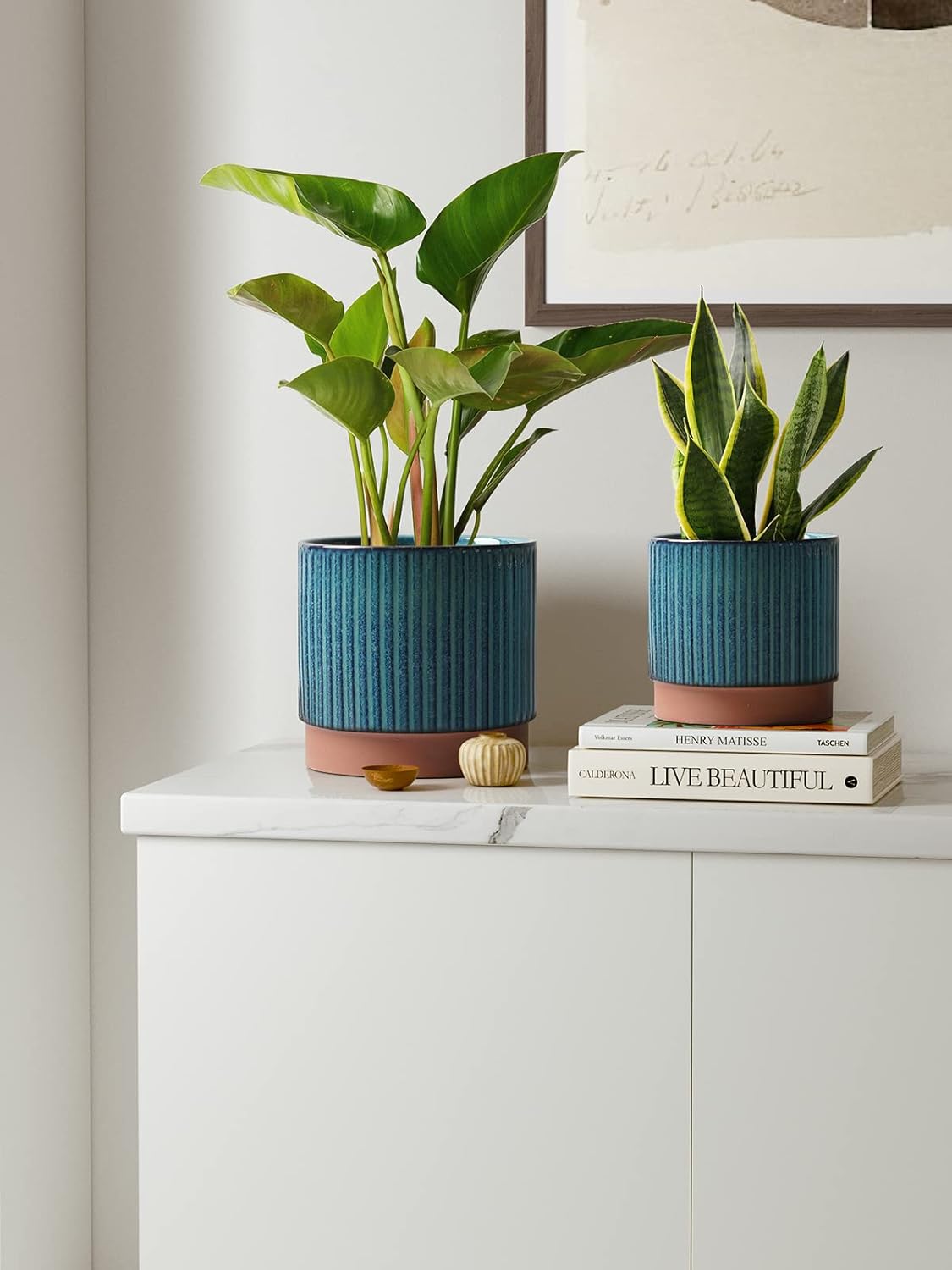 Set of 3 Ceramic Plant Pots wi - Aloe Vera Pot review and price