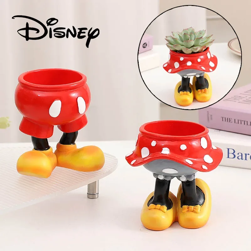 Disney Mickey Minnie Flower Po - Echeveria Succulent review and price