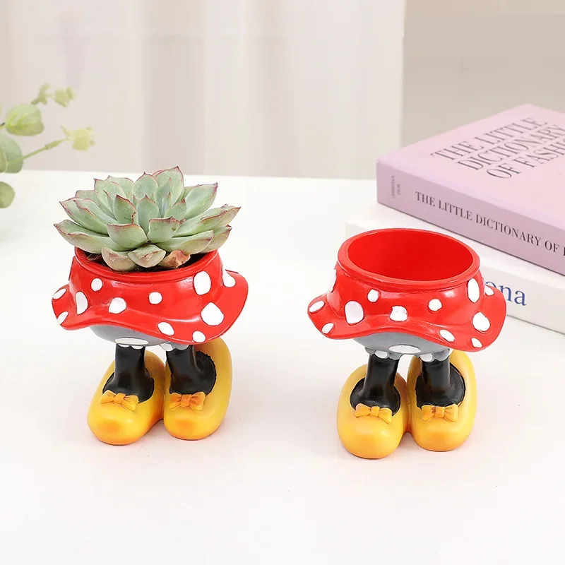 Disney Mickey Minnie Flower Po - Echeveria Succulent review and price