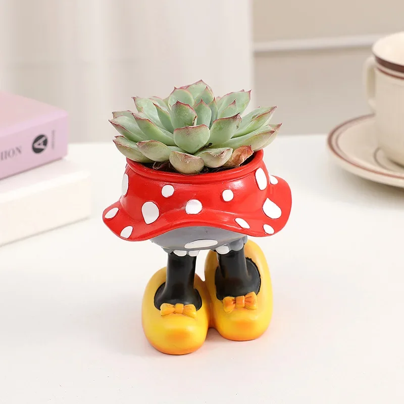 Disney Mickey Minnie Flower Po - Echeveria Succulent review and price
