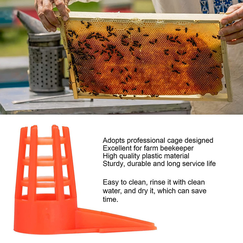20 PcsKing Cells Plastic Bee Q - Begonia Rex review and price