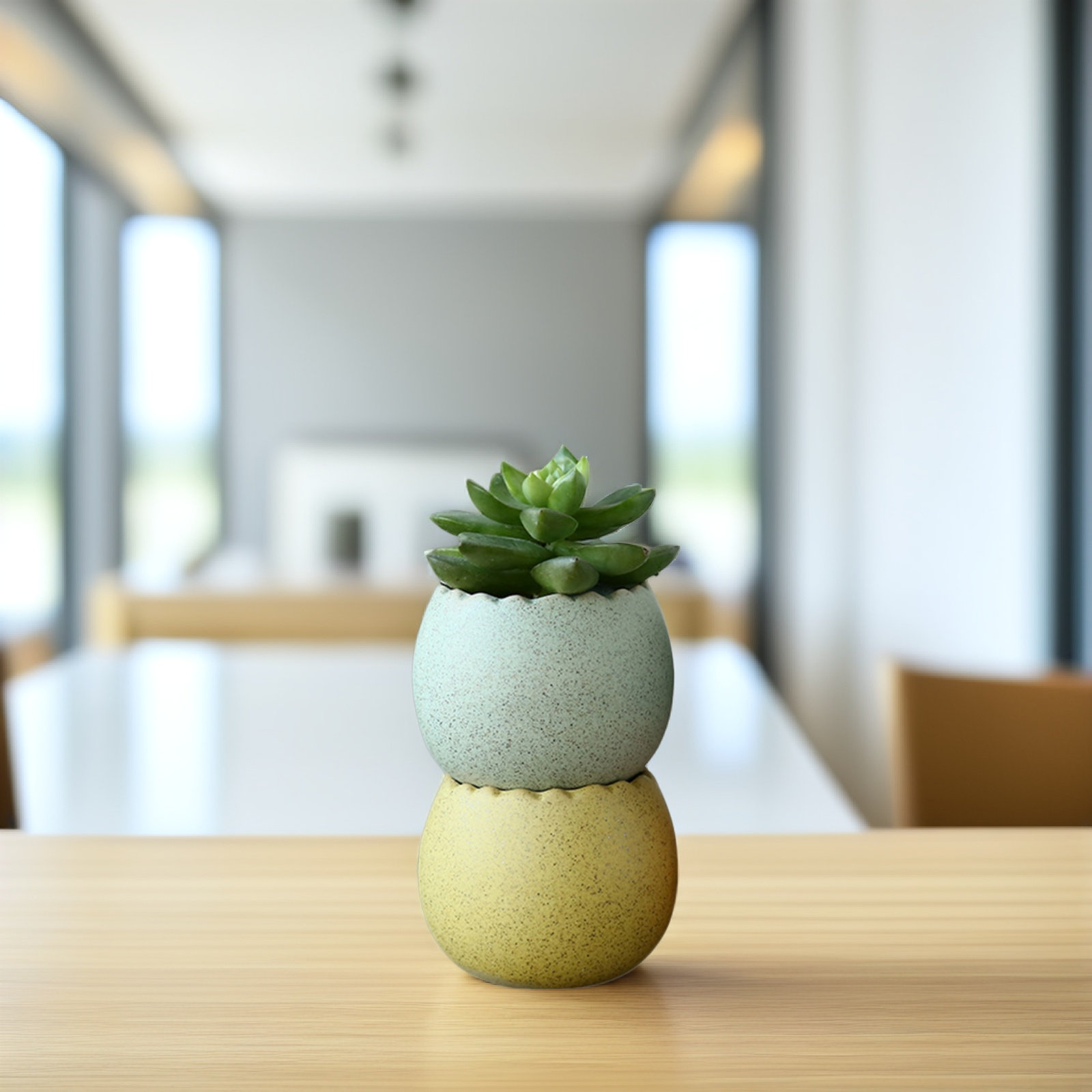 6Pcs Stylish Ceramic Mini Pots - Aloe Vera Pot review and price