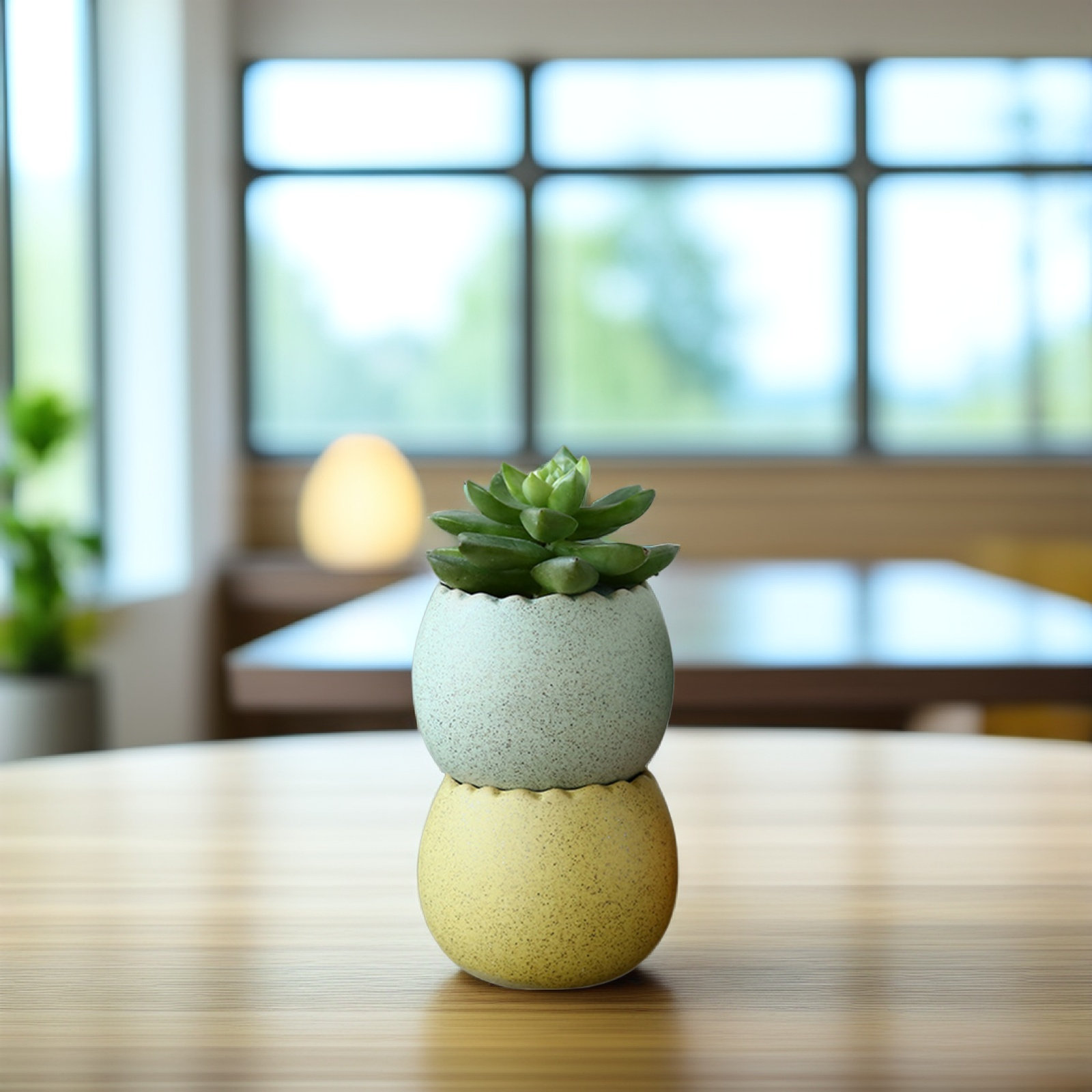 6Pcs Stylish Ceramic Mini Pots - Aloe Vera Pot review and price