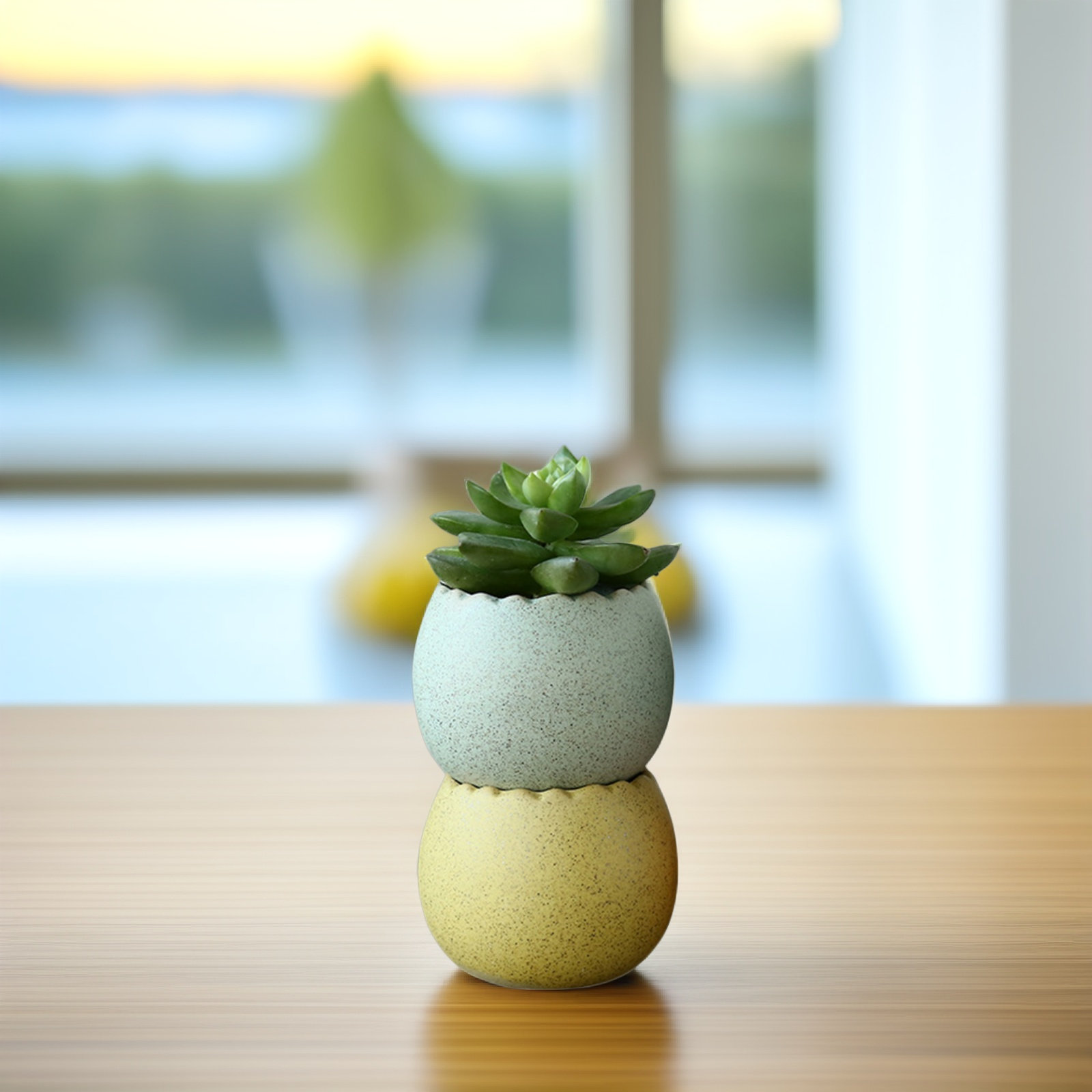 6Pcs Stylish Ceramic Mini Pots - Aloe Vera Pot review and price