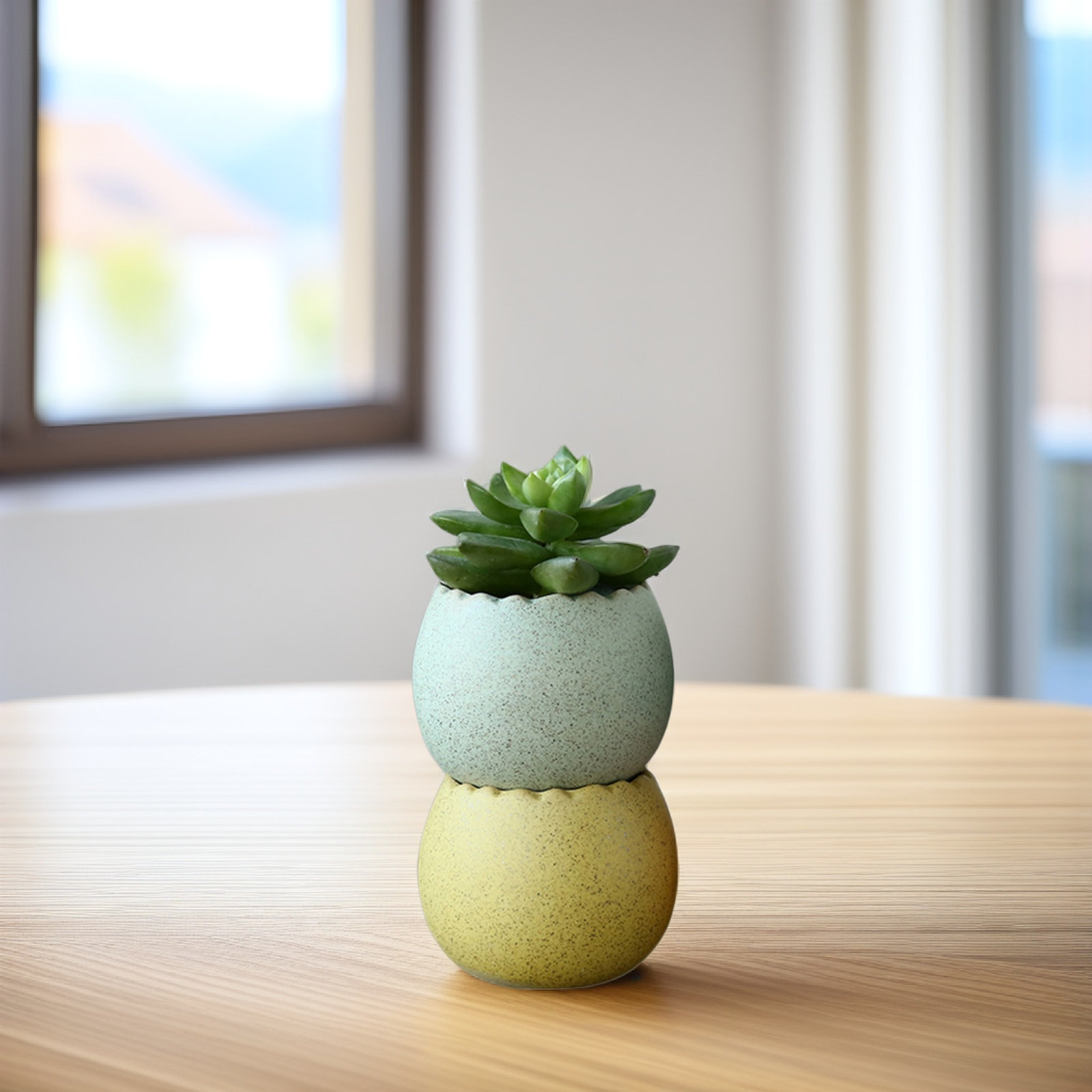 6Pcs Stylish Ceramic Mini Pots - Aloe Vera Pot review and price