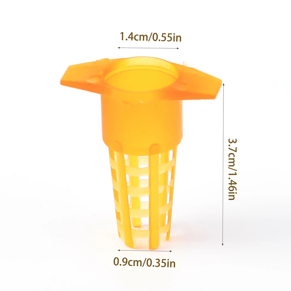 50 Pcs King Cells Plastic Bee  - Begonia Rex review and price