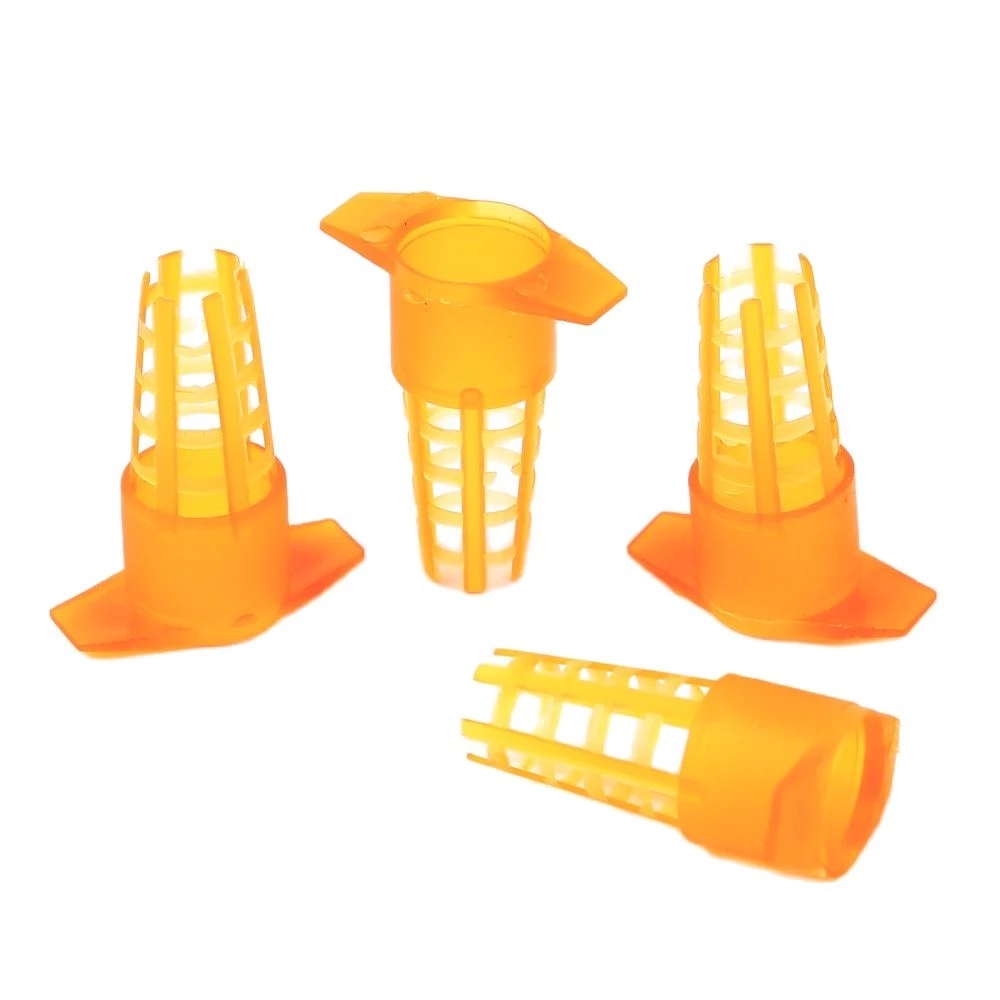 50 Pcs King Cells Plastic Bee  - Begonia Rex review and price