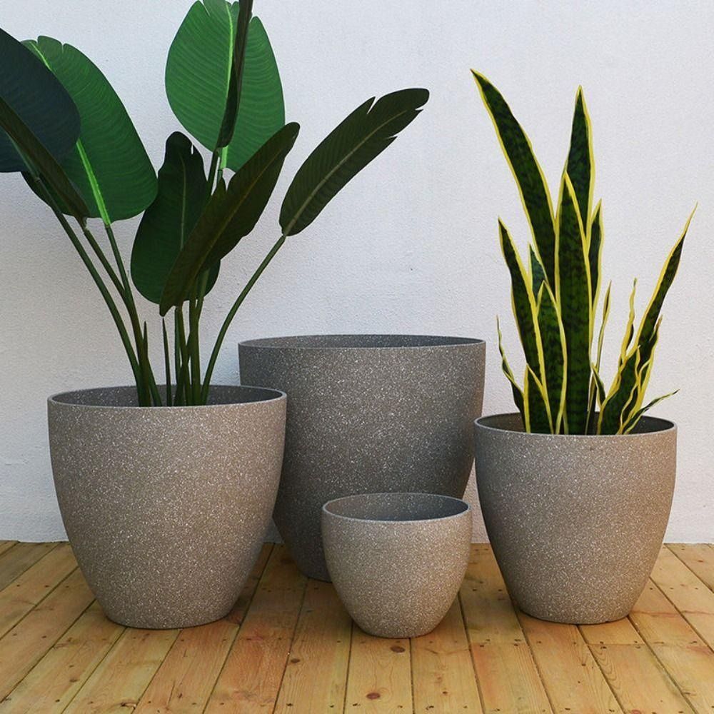 Frosted Imitation Stone Bonsai - Pilea Peperomioides review and price