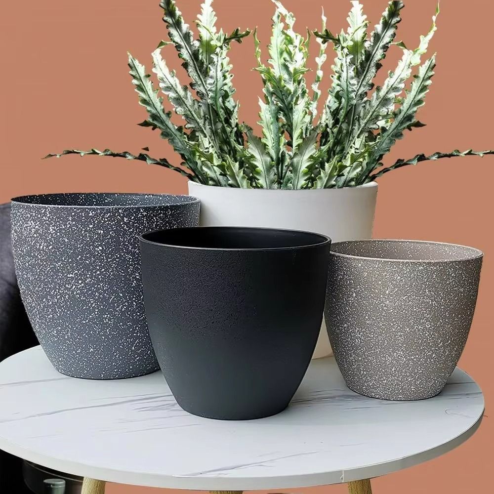 Frosted Imitation Stone Bonsai - Pilea Peperomioides review and price