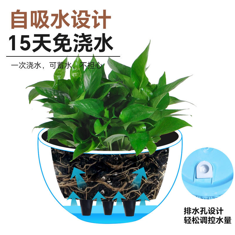 New simple imitation rattan wo - Spider Plant Hanging review and price