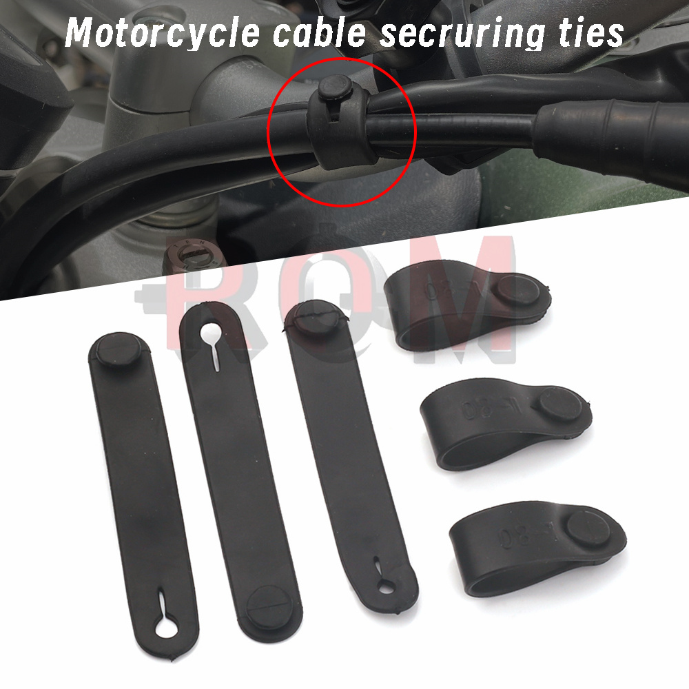 For Ducati Monster Multistrada - Monstera Adansonii review and price