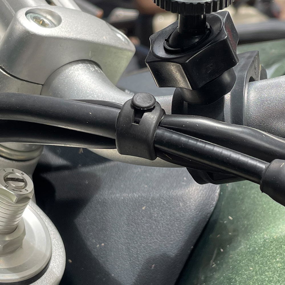 For Ducati Monster Multistrada - Monstera Adansonii review and price
