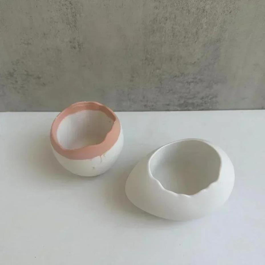 Plaster Handmade Mold Egg-shap - Echeveria Succulent review and price