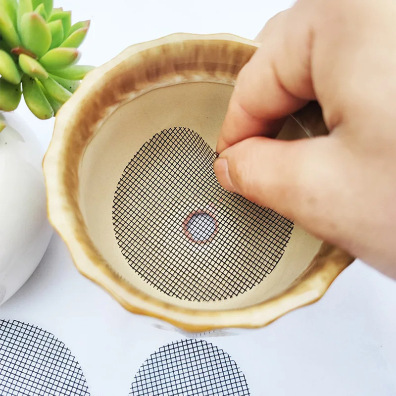 Pot Hole Mesh Pad Mat Grid Rou - Pilea Peperomioides review and price