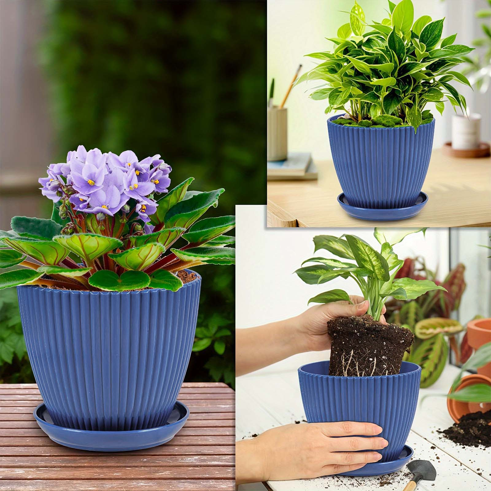 Vertical Striped Thickened Pla - Pilea Peperomioides review and price