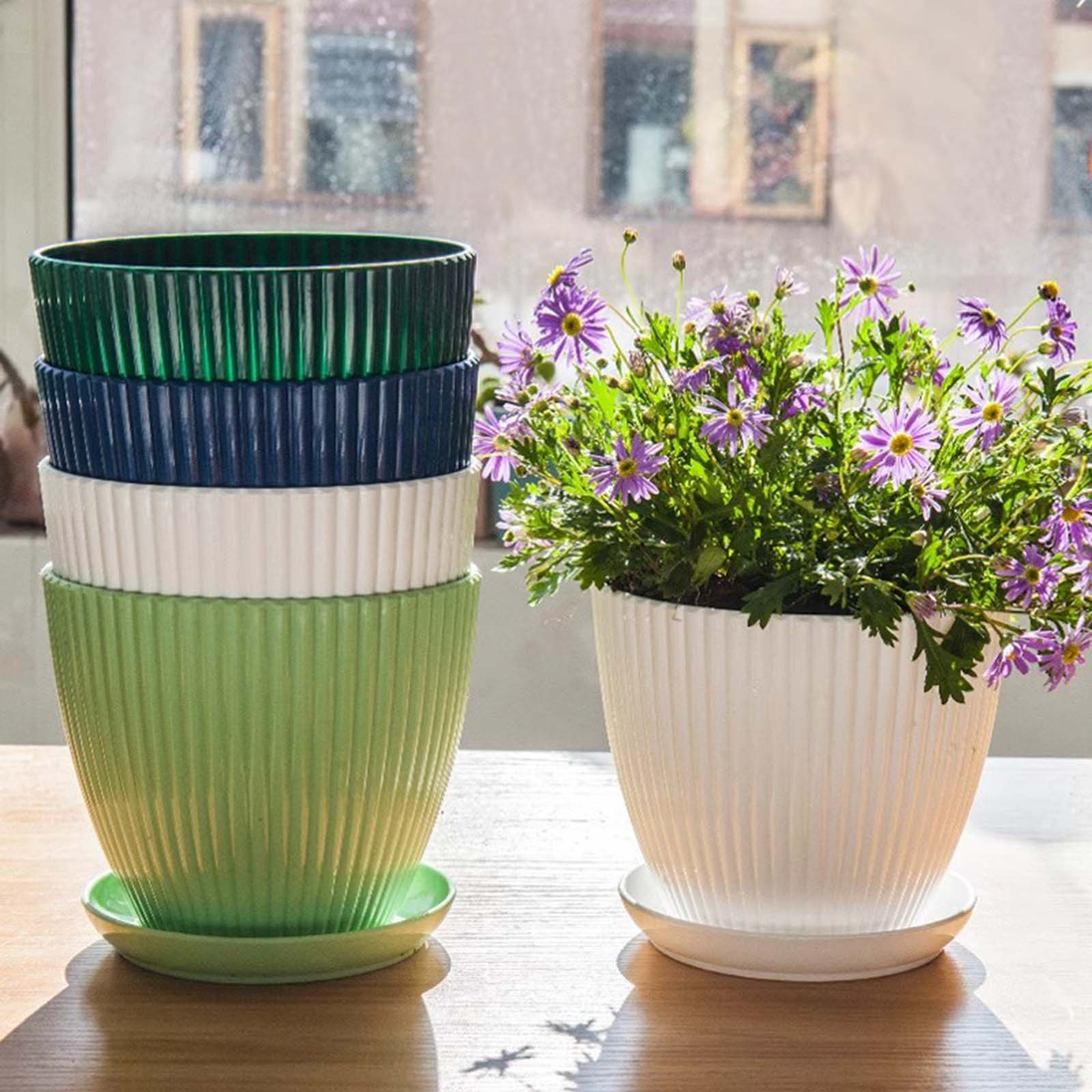 Vertical Striped Thickened Pla - Pilea Peperomioides review and price