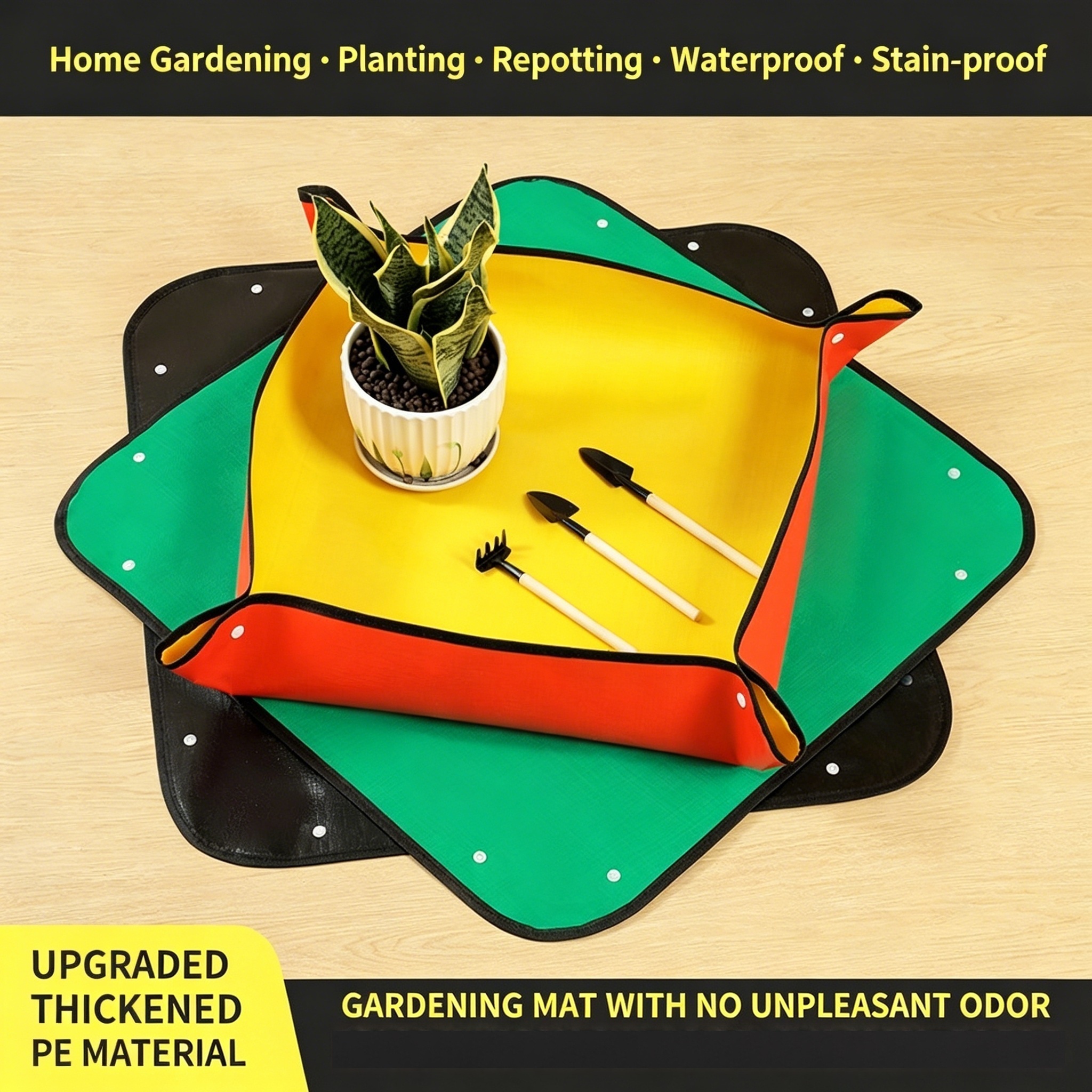 Plant Repotting Mat, Waterproo - Echeveria Succulent review and price