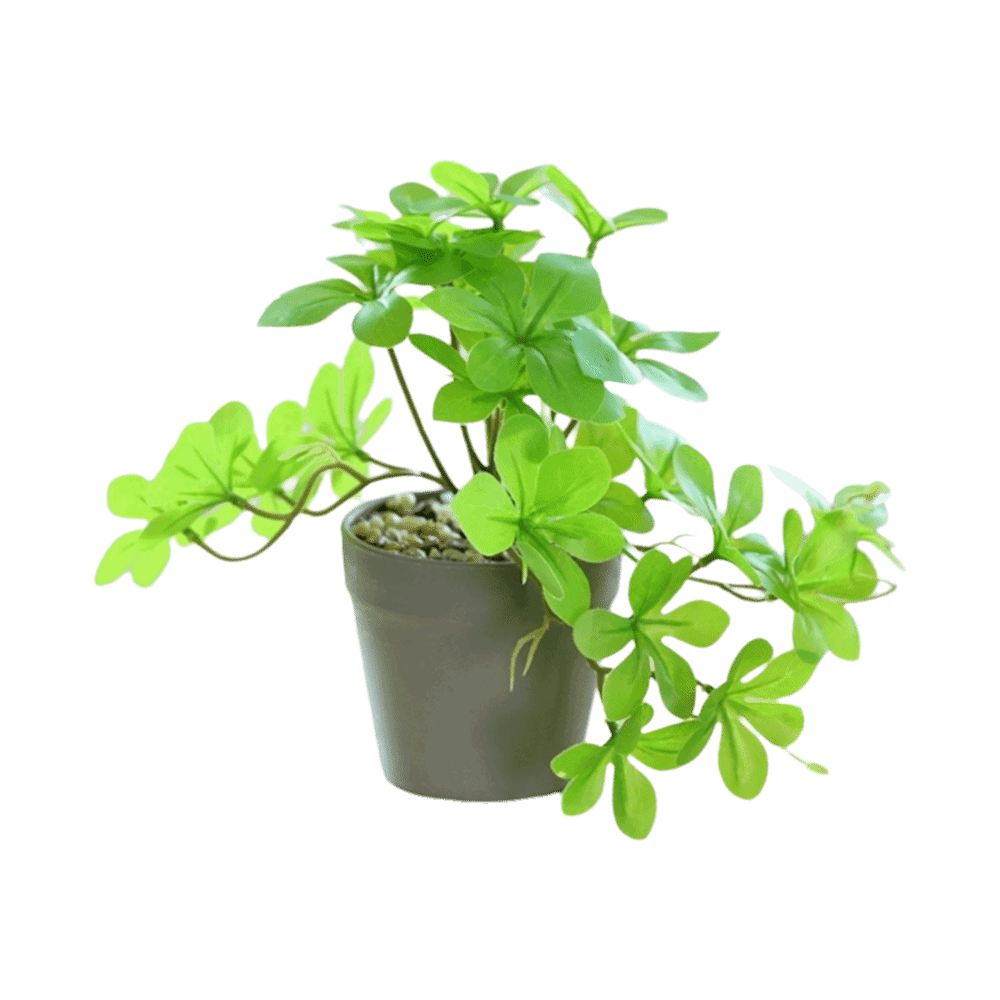 Bonsai Artificial Bonsai Plant - Spider Plant Hanging review and price