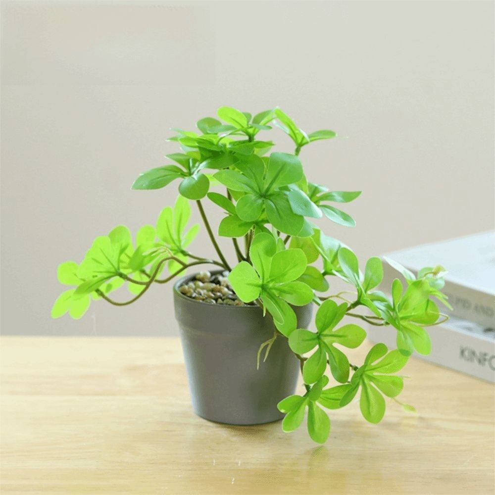 Bonsai Artificial Bonsai Plant - Spider Plant Hanging review and price