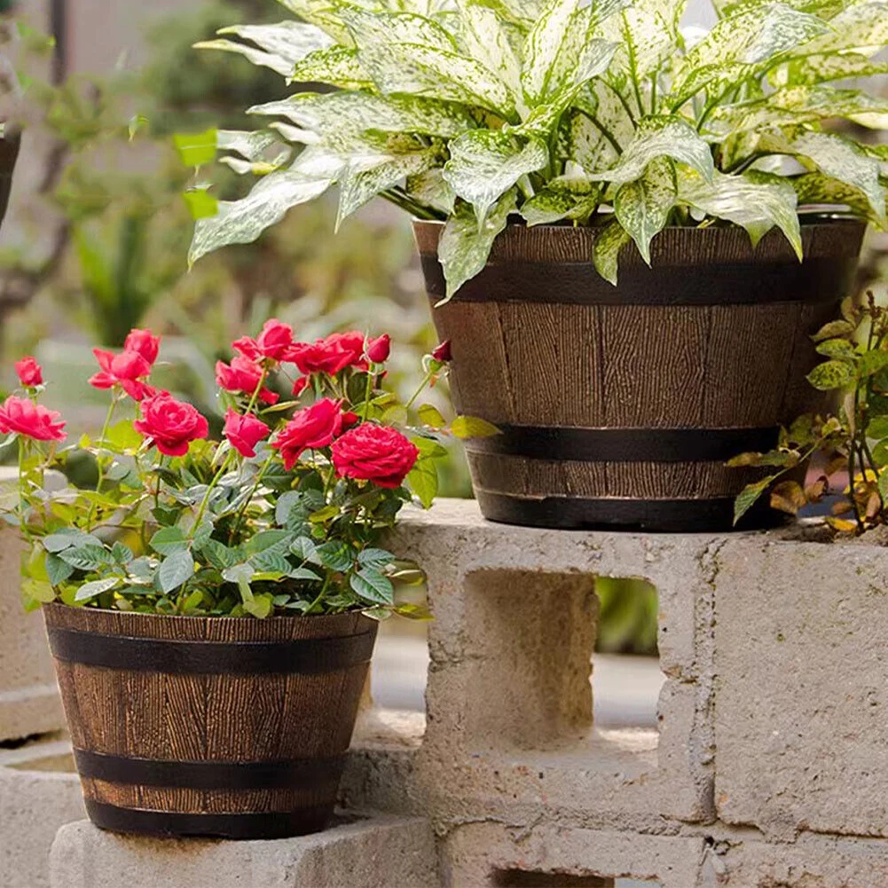 Rustic Whiskey Bucket Resin Po - Aloe Vera Pot review and price