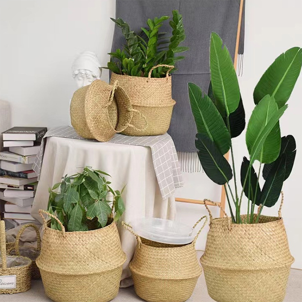 Plant Basket with Handles Wick - Aloe Vera Pot review and price