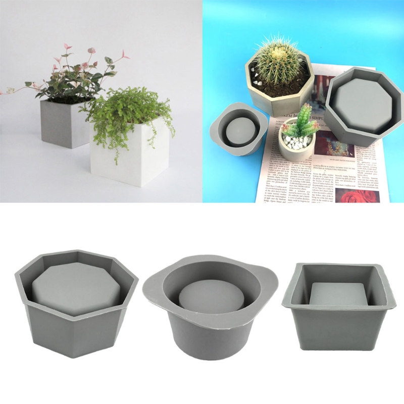 Handmade Succulent Planter Flo - Echeveria Succulent review and price