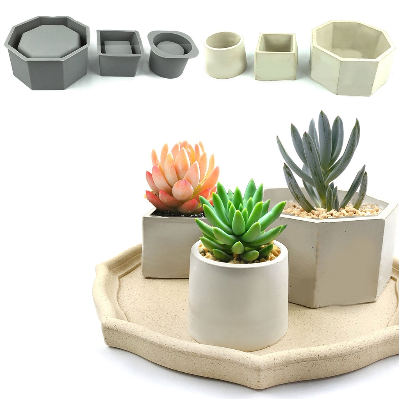 Handmade Succulent Planter Flo - Echeveria Succulent review and price