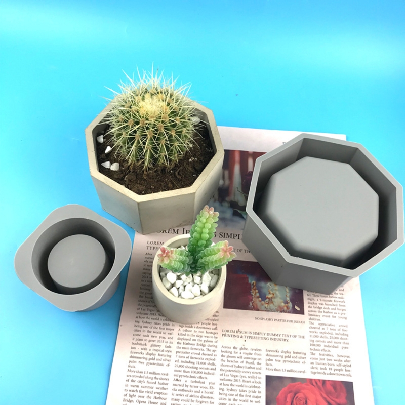 Handmade Succulent Planter Flo - Echeveria Succulent review and price