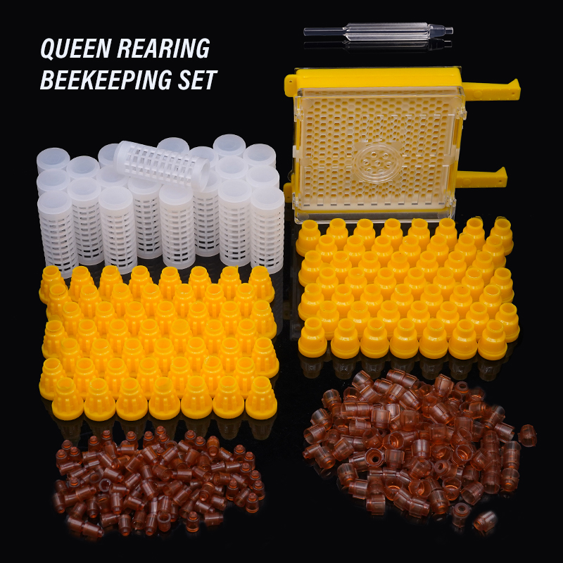 Germany Jenter Queen Rearing K - Begonia Rex review and price
