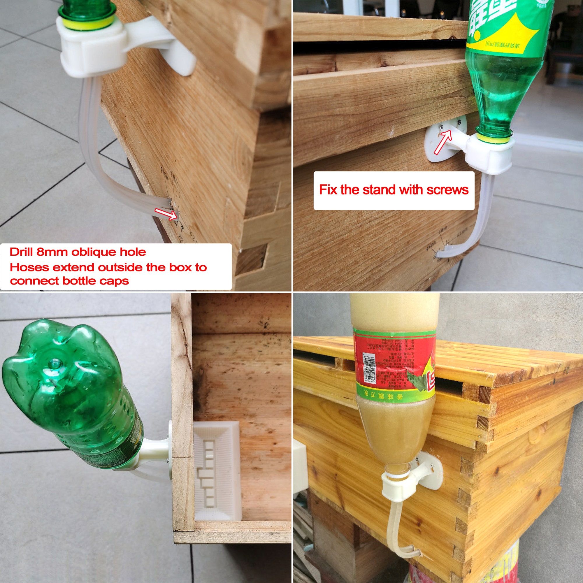 2Pcs Automatic Feeding Drinker - Begonia Rex review and price