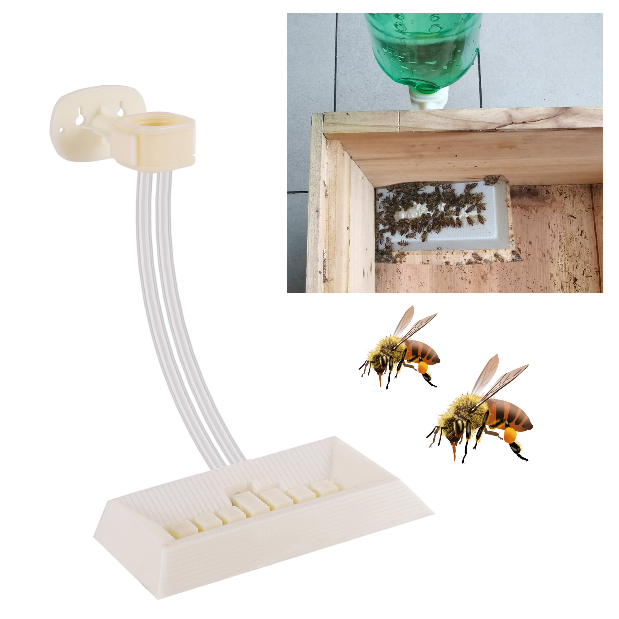 2Pcs Automatic Feeding Drinker - Begonia Rex review and price
