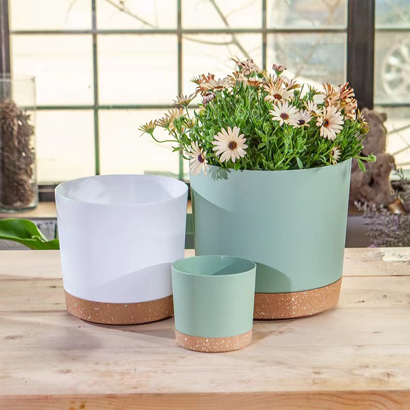 Plant POTS, lightweight large  - Pilea Peperomioides review and price