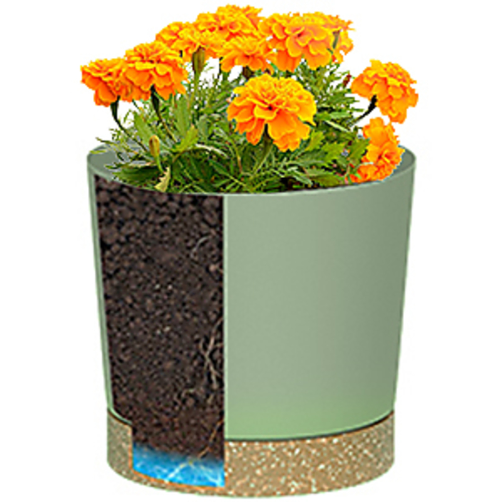 Plant POTS, lightweight large  - Pilea Peperomioides review and price