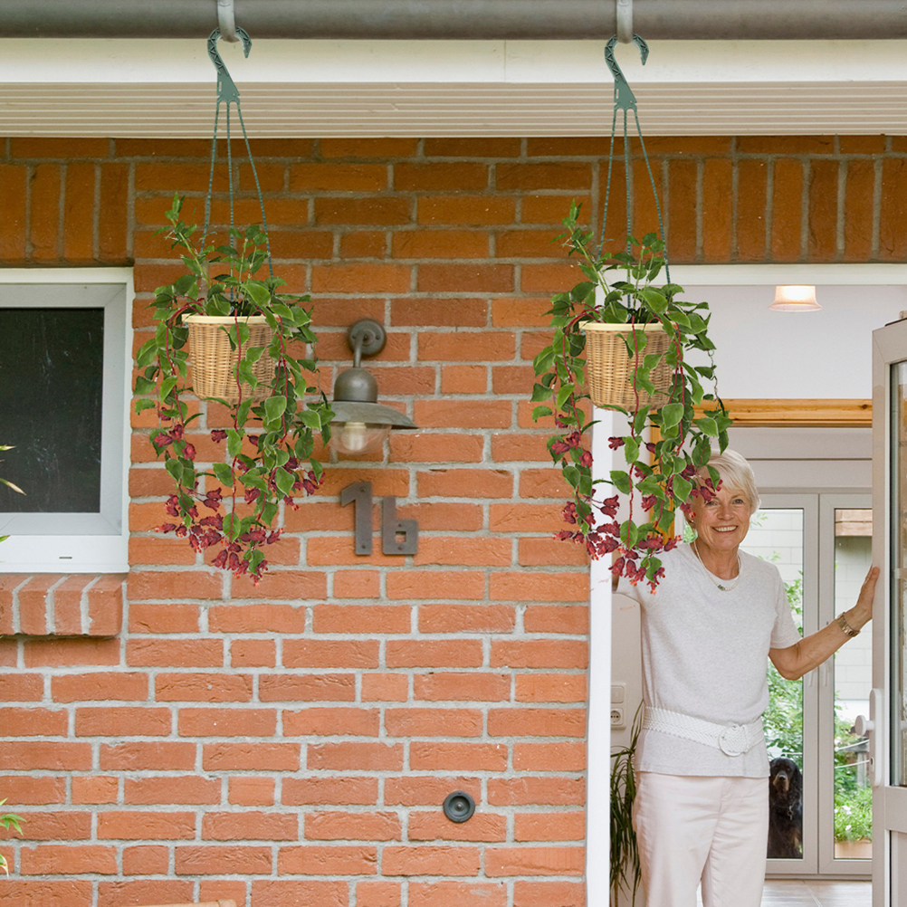 5Pcs Heavy Duty Hanging Basket - Spider Plant Hanging review and price