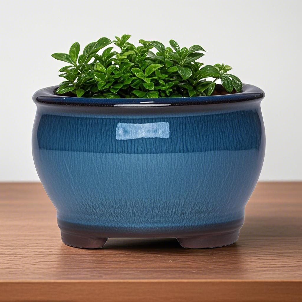 Ceramic Garden Planter Pots Ce - Pilea Peperomioides review and price