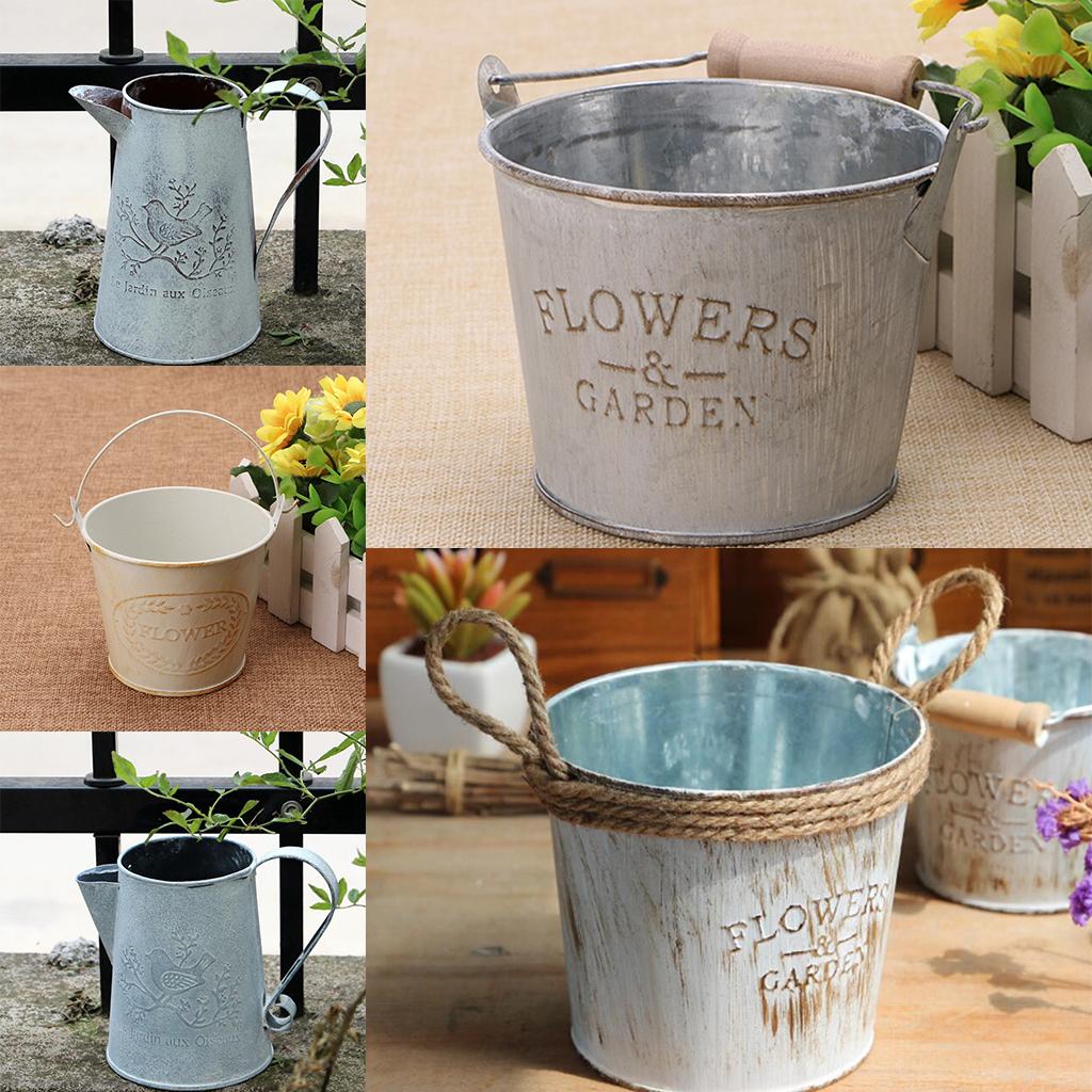 Antique Metal Bucket Herb Flow - Pilea Peperomioides review and price