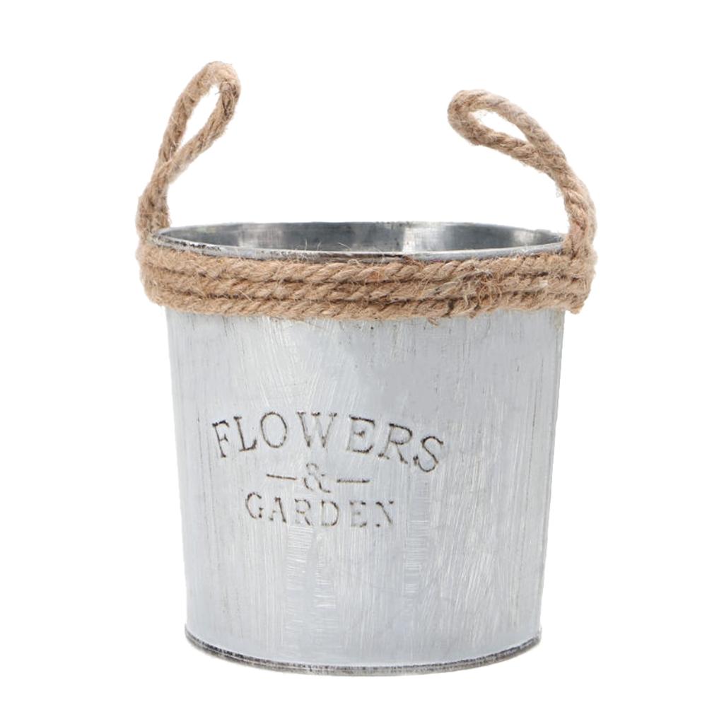 Antique Metal Bucket Herb Flow - Pilea Peperomioides review and price