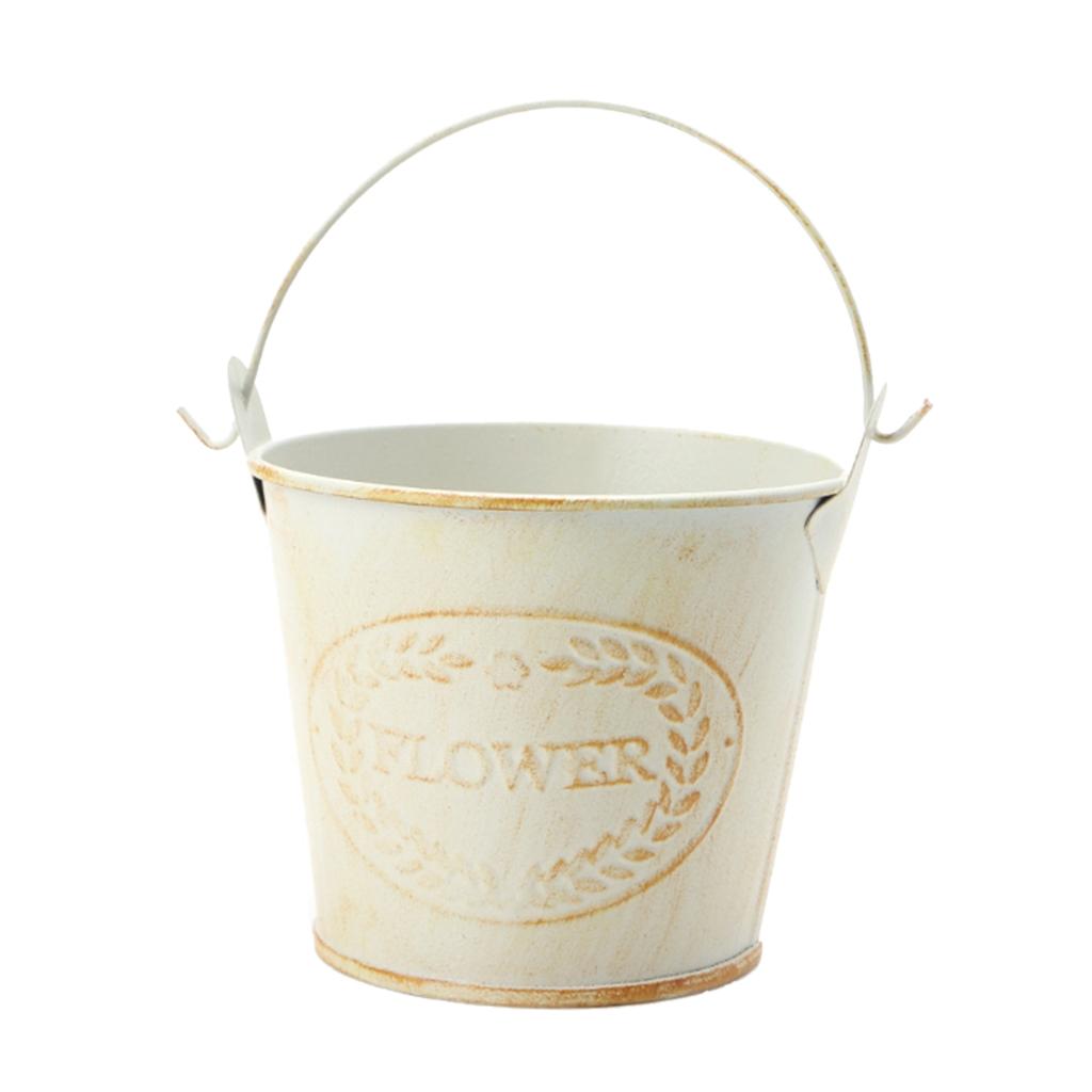 Antique Metal Bucket Herb Flow - Pilea Peperomioides review and price