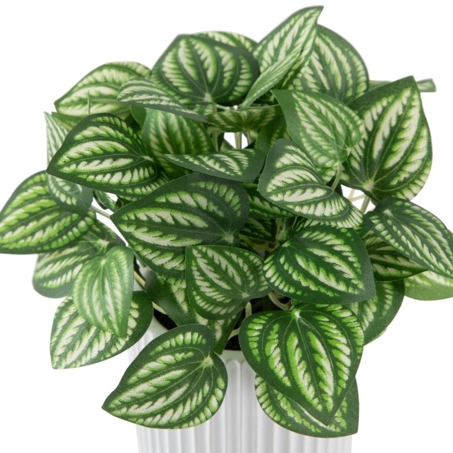 Artificial Watermelon Peperomi - Peperomia Watermelon review and price