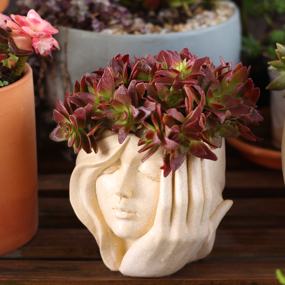 Face-Shaped Flower Pot Suitabl - Pilea Peperomioides review and price