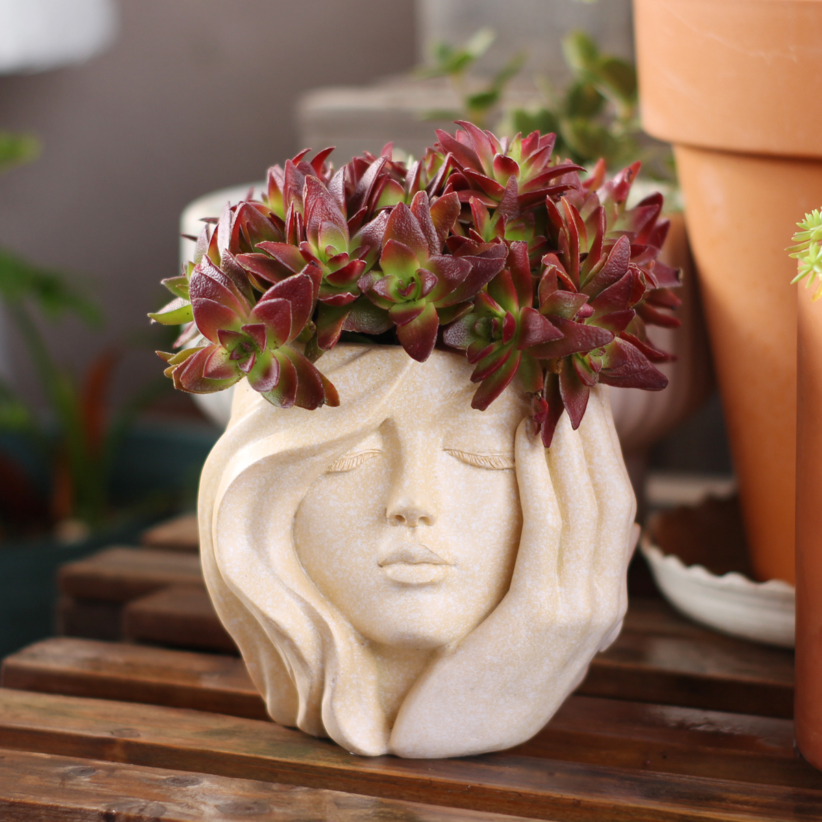 Face-Shaped Flower Pot Suitabl - Pilea Peperomioides review and price