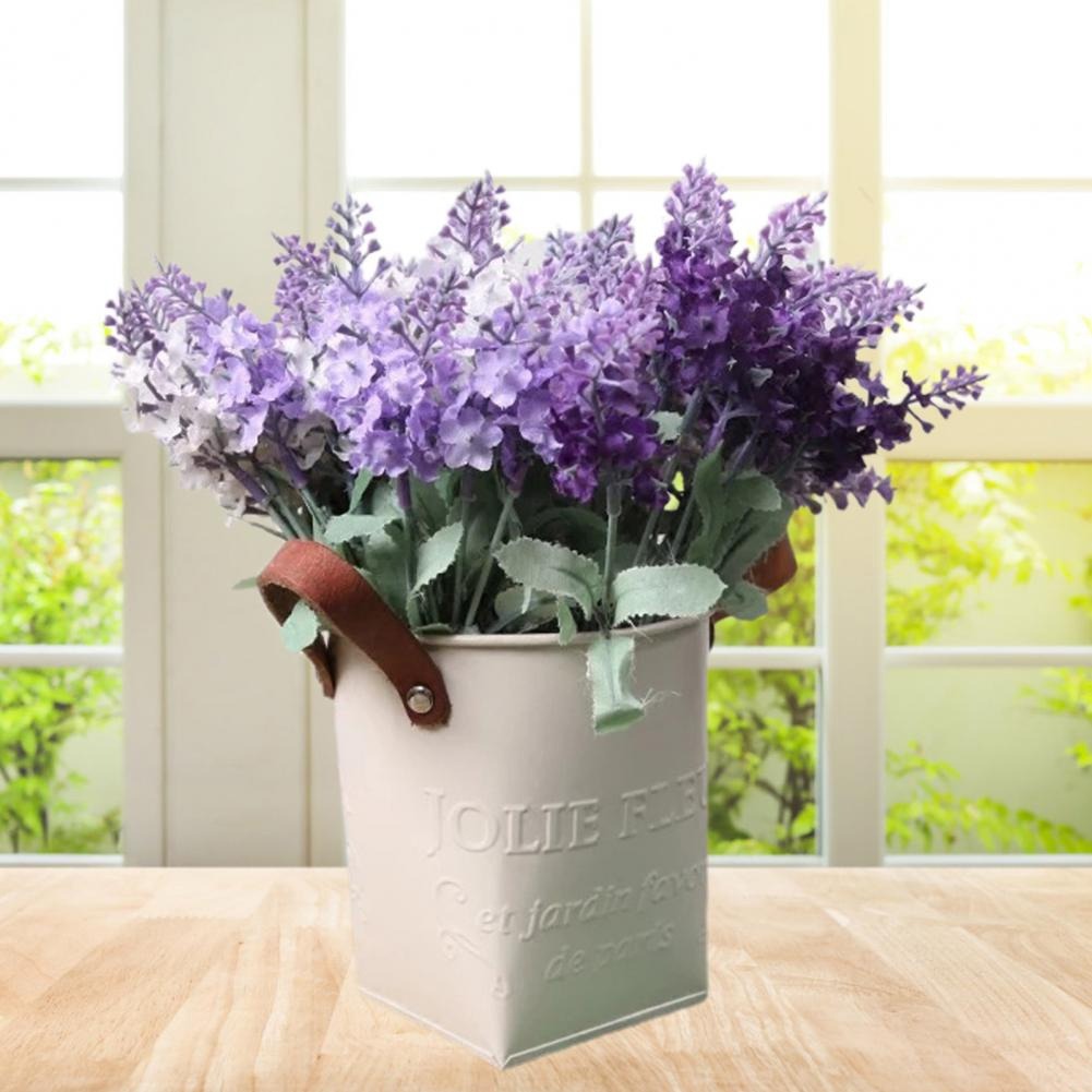Barrels Garden Decoration Tin  - Pilea Peperomioides review and price