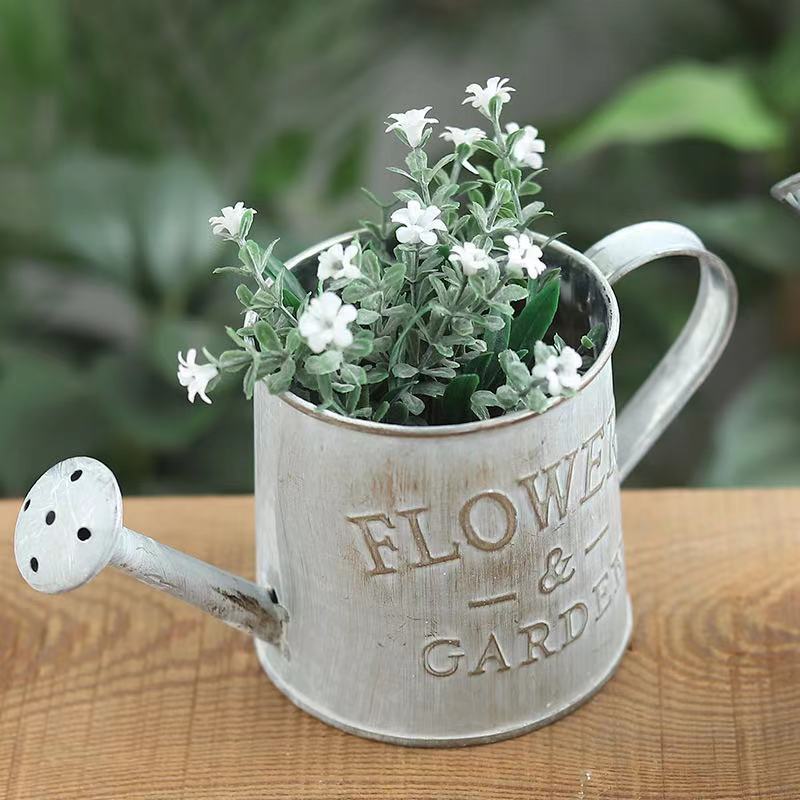 Barrels Garden Decoration Tin  - Pilea Peperomioides review and price