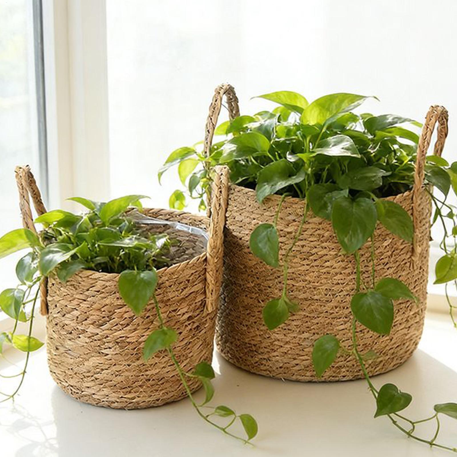 Planter Basket Straw Flowerpot - Pilea Peperomioides review and price