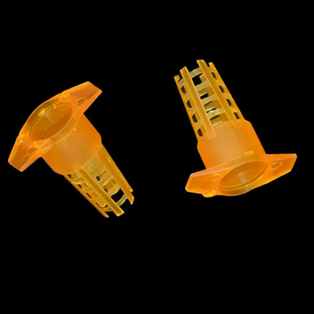 20 pcs Plastic Bee Queen Cage  - Begonia Rex review and price