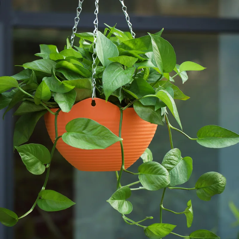 Plastic hanging basket flower  - Spider Plant Hanging review and price